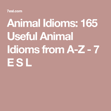 Animal Idioms 165 Useful Animal Idioms From A Z Idioms Idioms And Phrases Animals