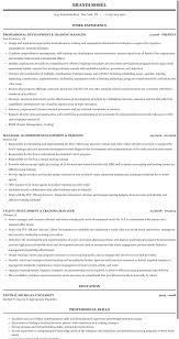 Training Manager Development Manager Resume Sample Mintresume