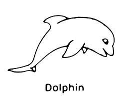 Ausmalbilder Delfine Wale Fische Bilder Download Super Malvorlagen