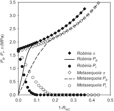 The point furthest from the point of attachment. Experimental Evidence For Negative Turgor Pressure In Small Leaf Cells Of Robinia Pseudoacacia L Versus Large Cells Of Metasequoia Glyptostroboides Hu Et W C Cheng 2 Hofler Diagrams Below The Volume Of Zero