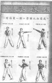 We cover wing chun, tai chi chuan, chin na, qigong and many others. 320 Wing Chun Ideas Wing Chun Wing Chun Kung Fu Martial Arts