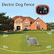 Your dog will not see the electric fence but still stay in place. Dr Tiger 2 Receivers Electric Dog Fence Invisible Fence For Dogs Collar Send Beeps And Shock Correction Coffee Buy Online In Cayman Islands At Cayman Desertcart Com Productid 94991424