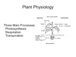 We did not find results for: Plant Physiology