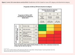 Approach To The Detection And Management Of Chronic Kidney Disease The College Of Family Physicians Of Canada