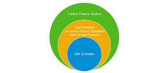 Hindi is one of the most commonly spoken languages in the entire world, and is officially recognized as one of the official languages of india. Different Views On What Is Central Finance Sap Blogs