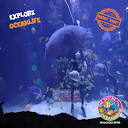 The Shore Oceanarium Melaka | Aquarium in Malacca City