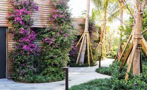 Green Thumb Landscape Architect Enzo Enea On Bringing Mysticism To Miami S Waterfront Landscape Architecture Garden Design Landscape Architect