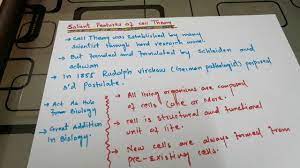 Maybe you would like to learn more about one of these? Cell Theory Youtube