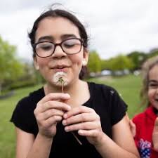 Hinckley nonprofit offers special purpose school students remote learning