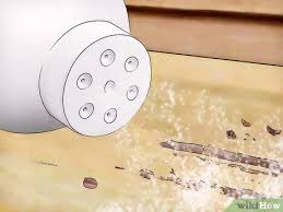Let us help you get rid of carpenter ants! The Easiest Way To Get Rid Of Carpenter Ants Wikihow