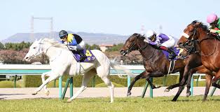 Wednesday f1 time #10 : æ¡œèŠ±è³ž ã‚½ãƒ€ã‚· ä¸–ç•Œåˆã®ç™½æ¯›é¦¬ã‚¯ãƒ©ã‚·ãƒƒã‚¯åˆ¶è¦‡ ãƒ¬ã‚³ãƒ¼ãƒ‰ã§æ±šã‚Œãªã5æˆ¦5å‹ ã‚¹ãƒãƒ‹ãƒ Sponichi Annex ã‚®ãƒ£ãƒ³ãƒ–ãƒ«