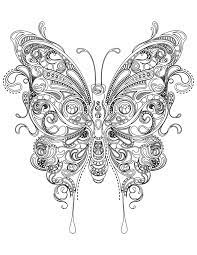 pin on coloriage animaux oiseau