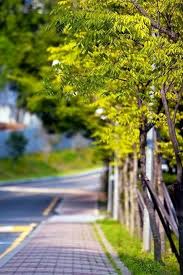 This photo is about youtube wallpaper, zoom backgrounds, zoom backgrounds funny Perfect Awesome Photography Photoshop Landscape Photoshopedited Popularphotograp Photoshop Backgrounds Blurred Background Photography Photo Background Images