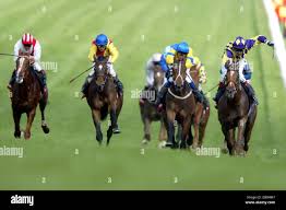 Jockey Darryl Holland