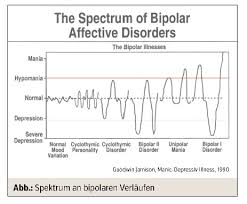 Bipolare Storungen Grosses Spektrum An Verlaufen Medmedia