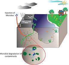 Frontiers Enzymatic Bioremediation Of Organophosphate Compounds Progress And Remaining Challenges Bioengineering And Biotechnology