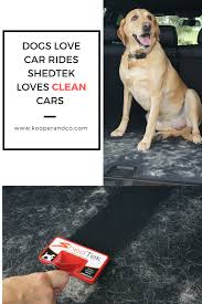 Consider purchasing a vacuum cleaner specifically designed to remove pet hair. Best Tool For Cleaning Pet Hair And Fur From Carpets Auto Interiors And Other Hard To Clean Fabrics Shedt Dog Hair Cleaning Cleaning Pet Hair Dog Hair Vacuum