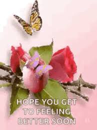  hope you feel better soon, get better squirrel card. Feel Better Soon Gifs Tenor