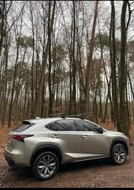 Image result for Ultrasonic Blue 2016 NX