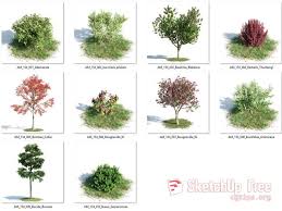 1657 Plant Sketchup Model Free Download Sketchup Model Plants Sketchup Free