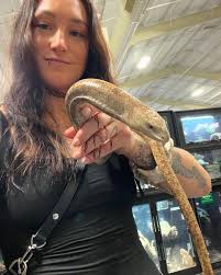 Image result for Diclis reptans