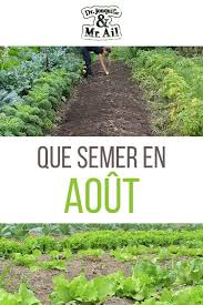 L Activite Au Potager Au Mois D Aout Peut Sembler Ralentie Cependant Vous Avez Une Multitude De Ch Planter Pomme De Terre Organiser Potager Jardinage Potager
