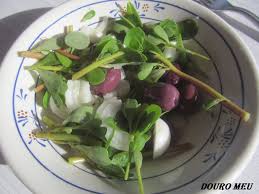 Résultat de recherche d'images pour "beldroega"