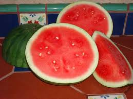 10 Top Performing Watermelon Varieties Growing Produce