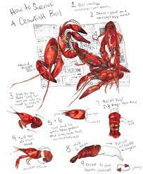 How To Survive A Crawfish Boil Local Life Crawfish Boil Crawfish Lobster Boil