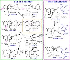 Both animal and plant cells have cell membranes that enclose the cell. Risk To Human And Animal Health Related To The Presence Of 4 15 Diacetoxyscirpenol In Food And Feed 2018 Efsa Journal Wiley Online Library