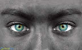 Stunning Eyes Optometry Eye Care Dry Eyes Eye Care Center