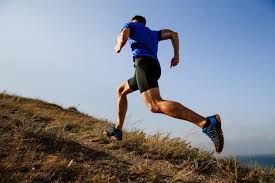 Can Deer Antler Velvet Increase Your Muscular Development And Strength Pure Vitality Limited