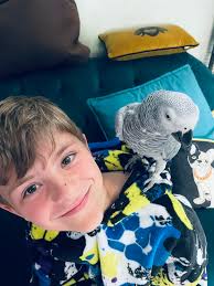 Meet Mrs Grey Aka pigeon 🐦 ❤️