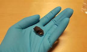 Dharsha gupta sex video the situation was a business