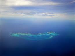 Mariposa Caribena En Cayo Bolivar Foto Tomada Desde Un Avion Al Archipielago De San Andres Colombia Travel Nature Colombia Archipielago Paisajes