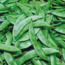 Image result for Dolichos