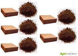 About farmone marketing pvt ltd., suppliers, exporters, retailer of vermicompost, coco peat, potting mixture (soil) from ernakulam, kerala. Anil Coco Peat Vermicompost Services In Guntur Coconut Plant