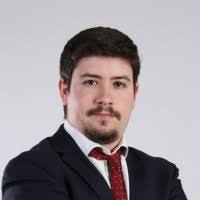 20+ "Cortes-lobato" profiles