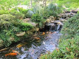 Botanic Garden Fort Worth Texas Japanese Garden I Want One Of These In My Back Yard Japanese Garden Miniature Garden Botanical Gardens