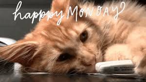 Watch out, its monday pictures, photos, and images for. Its Monday Gifs Get The Best Gif On Giphy