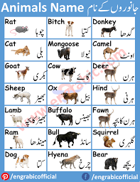 Animals Names List Animals Name In English Animals Name List English Learning Books