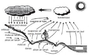 Salah satu tahapan siklus air adalah evaporasi. Siklus Hidrologi Atau Siklus Air