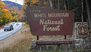 The white mountains, or ered nimrais was a great mountain range that lay between calenardhon/rohan in the north and gondor in the south. Why Aren T The White Mountains A National Park