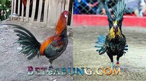 Maybe you would like to learn more about one of these? Gebby Eby Gebbyeby69 Twitter