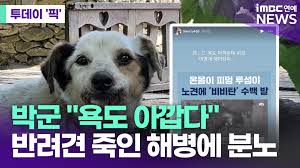 MBC - News update