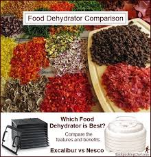 which food dehydrator is best excalibur or nesco