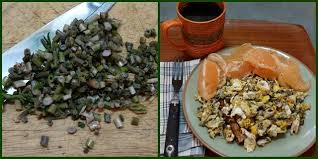 They have a short spring season and are used in soups, or boiled, tossed in butter, more likely cream in france. Hop Shoots The Other Hop Crop 5 Ways To Eat Hop Shoots Steemit