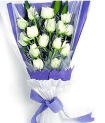 We did not find results for: Carnival Love 15 White Roses Flowers Send Flowers China From Local Florist