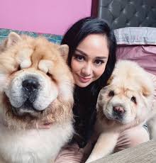 Hal itu diungkapkan denise dalam tayangan di kanal youtube trans tv official yang berjudul wah ini dia fakta terbarunya salsa!! Denise Chariesta Chariestadenise Twitter