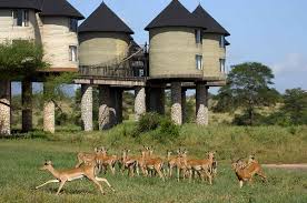 Phone number +254 777 104 886. Familien Safari In Kenia Severin Travel Africa